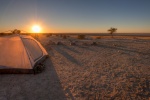 Makgadikgadi Pans, Botswana
